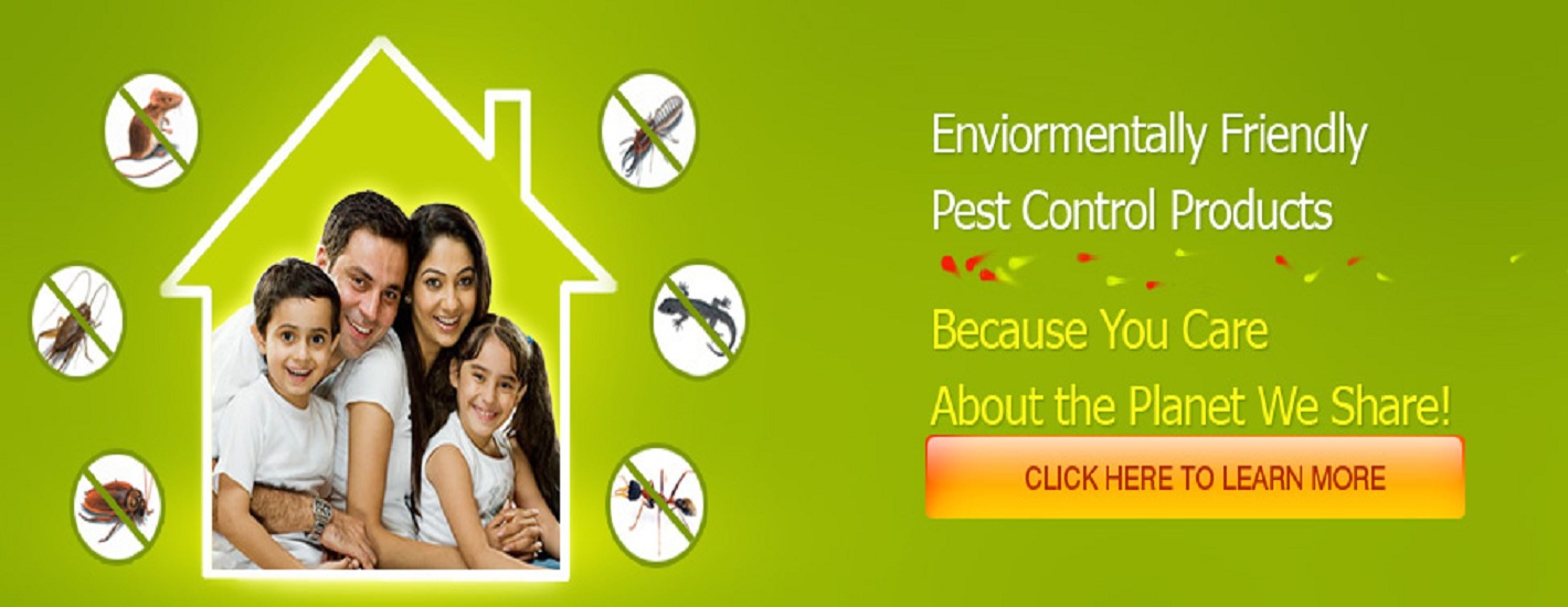 Environment Friendly Pest Control